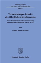 Karolin Sophie Dirscherl - Versammlungen jenseits des öffentlichen Straßenraums.