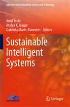 Amit Joshi, Atulya K Nagar, Gabriela Marín-Raventós, Atulya K. Nagar - Sustainable Intelligent Systems