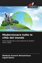 Modeste Kameni Nematchoua, Sigrid Reiter - Modernizzare tutte le città del mondo