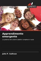 John P. Sullivan - Apprendimento emergente
