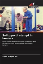 Syed Waqas Ali - Sviluppo di stampi in lamiera