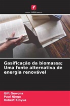 Gift Gewona, Robert Kinyua, Paul Njogu - Gasificação da biomassa; Uma fonte alternativa de energia renovável