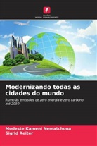 Modeste Kameni Nematchoua, Sigrid Reiter - Modernizando todas as cidades do mundo