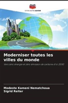 Modeste Kameni Nematchoua, Sigrid Reiter - Moderniser toutes les villes du monde