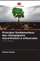 Sunita Chahar - Principes fondamentaux des champignons mycorhiziens à arbuscules
