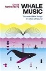 Scott McVay, David Rothenberg - Whale Music
