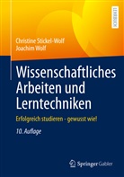 Christine Stickel-Wolf, Joachim Wolf - Wissenschaftliches Arbeiten und Lerntechniken