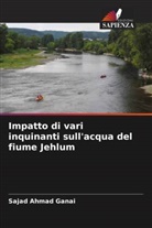 Rafiq Ahmad Baig, Sajad Ahmad Ganai - Impatto di vari inquinanti sull'acqua del fiume Jehlum
