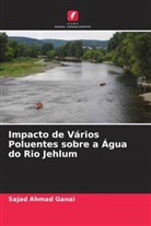 Rafiq Ahmad Baig, Sajad Ahmad Ganai - Impacto de Vários Poluentes sobre a Água do Rio Jehlum