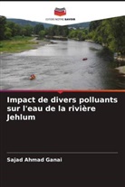 Rafiq Ahmad Baig, Sajad Ahmad Ganai - Impact de divers polluants sur l'eau de la rivière Jehlum