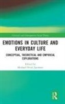 Michael Hviid Jacobsen, Michael Hviid (Aalborg University Jacobsen, Michael Hviid Jacobsen - Emotions in Culture and Everyday Life