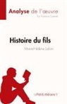 Florence Casteels, Florence Casteels - Histoire du fils de Marie-Hélène Lafon (Analyse de l'¿uvre)