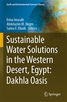 Salwa F. Elbeih, Salwa F Elbeih, Erina Iwasaki, Abdelazim M Negm, Abdelazim M. Negm - Sustainable Water Solutions in the Western Desert, Egypt: Dakhla Oasis