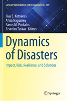 Ilias S. Kotsireas, Panos M Pardalos et al, Anna Nagurney, Panos M. Pardalos, Arsenios Tsokas - Dynamics of Disasters