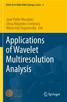 Silvia Alejandra Seminara, María Inés Troparevsky, Juan Pablo Muszkats, Silvia Alejandra Seminara, María Inés Troparevsky - Applications of Wavelet Multiresolution Analysis