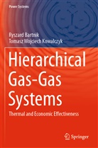Ryszard Bartnik, Tomasz Wojciech Kowalczyk - Hierarchical Gas-Gas Systems