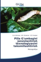 X. ¿. Alimova, X._. Alimova, K. R. Avazov, K.R. Avazov, A. E. Gulamov, A.E. Gulamov - Pilla G'umbagini jonsizlantirish texnologiyasini takomillashtirish