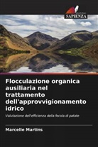 Marcelle Martins - Flocculazione organica ausiliaria nel trattamento dell'approvvigionamento idrico