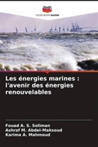 Ashraf M. Abdel-maksoud, Karima A. Mahmoud, Fouad A. S. Soliman - Les énergies marines : l'avenir des énergies renouvelables
