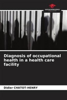 Didier Chatot-Henry - Diagnosis of occupational health in a health care facility
