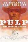 Ed Brubaker, Ed Brubaker, Brian Holguin, Todd McFarlane - Pulp: The Process Edition