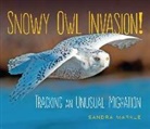 Sandra Markle - Snowy Owl Invasion!