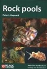 Peter J. Hayward - Rock pools