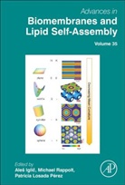 Ales (Full Professor and Head of Laborator Iglic, Ales (Full Professor and Head of Laboratory Iglic, Ales (Full Professor and the Head of Labora Iglic, Ana (Professor Garcia-Saez, Ana J. (Professor Garcia-Saez, Ales Iglic... - Advances in Biomembranes and Lipid Self-Assembly