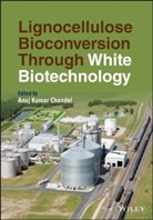 A Chandel, Anuj Kumar Chandel, Anuj Kumar (University of Sao Paulo Chandel, Anuj Kumar Chandel, Chandel Anuj Kumar, Anuj Kumar Chandel - Lignocellulose Bioconversion Through White Biotechnology