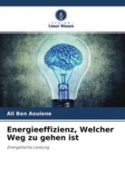 Ali Ben AOUIENE - Energieeffizienz, Welcher Weg zu gehen ist