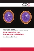 Omelio Cepero Rodriguez, Manuel Agustín Pérez de Corcho, Yaiselin Valls Ferrer - Protozoarios de Importancia Médica: