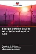 Nehal Abou-alfotoh Ali, Ayman Hamid Shanash, Fouad A. S. Soliman - Énergie durable pour la sécurité humaine et le luxe
