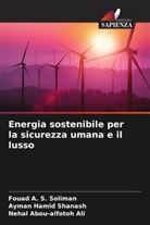 Nehal Abou-alfotoh Ali, Ayman Hamid Shanash, Fouad A. S. Soliman - Energia sostenibile per la sicurezza umana e il lusso