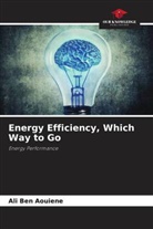 Ali Ben Aouiene - Energy Efficiency, Which Way to Go