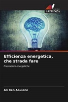 Ali Ben AOUIENE - Efficienza energetica, che strada fare