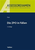 Oliver Elzer, Doerthe Fleischer, Ludolf v Saldern, Ludolf von Saldern, Christia Simmler, Christiane Simmler... - Die ZPO in Fällen
