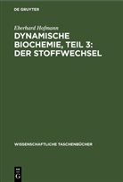 Eberhard Hofmann - Dynamische Biochemie, Teil 3: Der Stoffwechsel