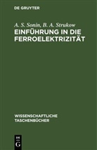 A. S. Sonin, B. A. Strukow - Einführung in die Ferroelektrizität