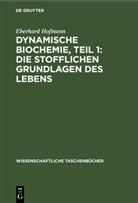 Eberhard Hofmann - Dynamische Biochemie, Teil 1: Die stofflichen Grundlagen des Lebens