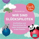 Riccarda Ley, Christiane Reichert - FamilyFlow. Wir sind Glückspiloten, 1 Audio-CD (Hörbuch)