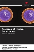 Omelio Cepero Rodriguez, Manuel Agustín Pérez de Corcho, Yaiselin Valls Ferrer - Protozoa of Medical Importance: