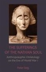 Peter Selg, Selg Peter, Rudolf Steiner - Sufferings of the Nathan Soul