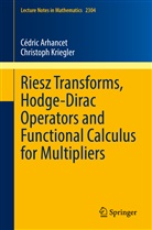 Cédric Arhancet, Christoph Kriegler - Riesz Transforms, Hodge-Dirac Operators and Functional Calculus for Multipliers