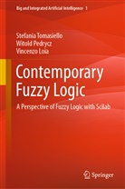 Vincenz Loia, Vincenzo Loia, Witold Pedrycz, Stefania Tomasiello - Contemporary Fuzzy Logic