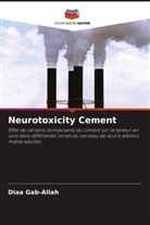 Diaa Gab-Allah - Neurotoxicity Cement