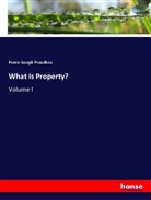 Pierre-Joseph Proudhon - What Is Property?