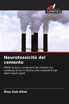 Diaa Gab-Allah - Neurotossicità del cemento