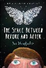 Sue Stauffacher - The Space Between Before and After