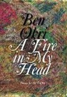 Ben Okri - A Fire in My Head
