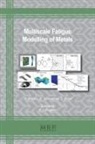 Kiarash J. Dogahe - Multiscale Fatigue Modelling of Metals